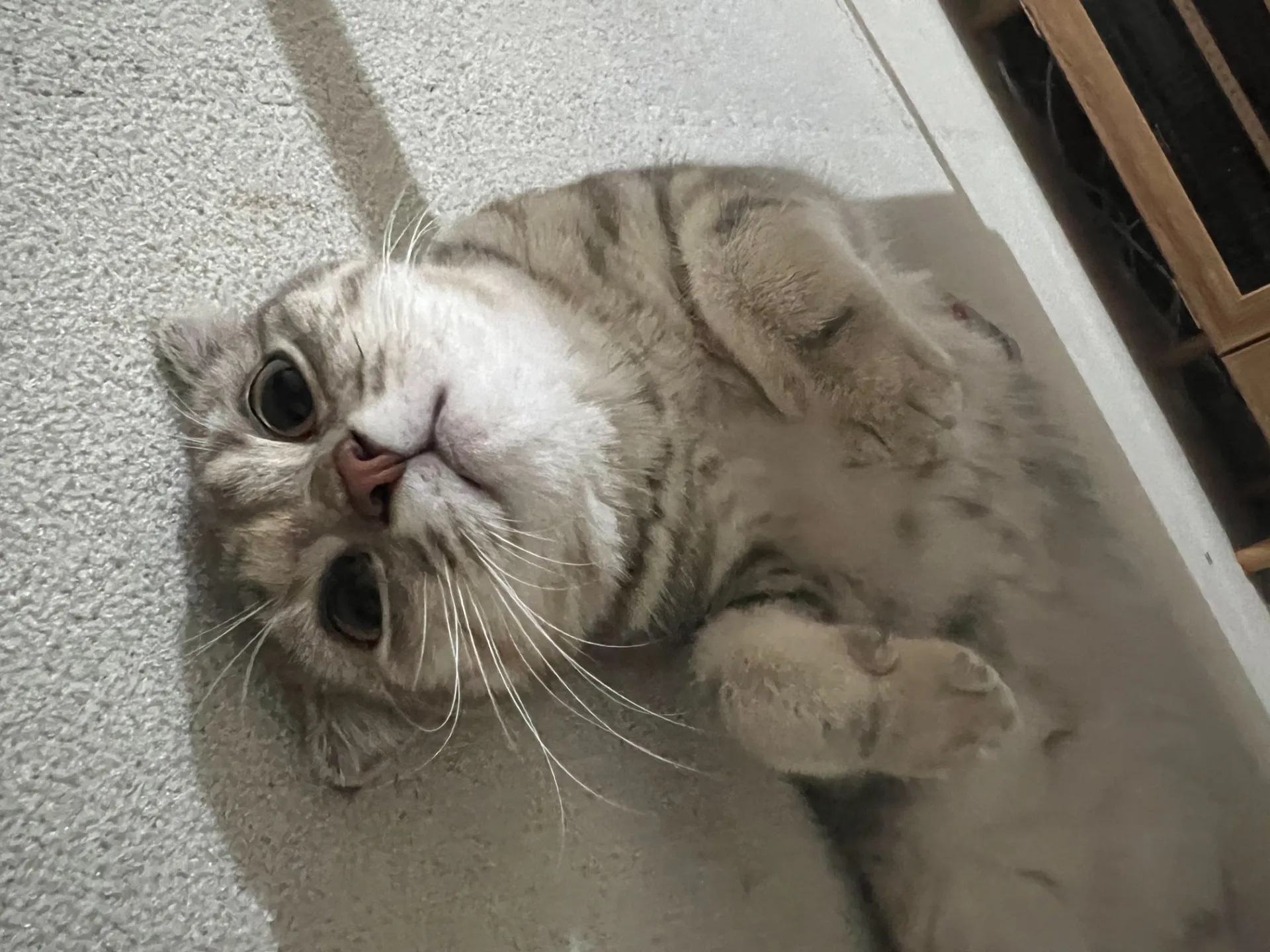 連休明け
